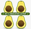 Kit 4 Abacate Catnip Brinquedo Interativo Erva para Gato Pet