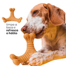 Osso Mordedor Massageador Brinquedo Para Cães Pets Anti-Stress
