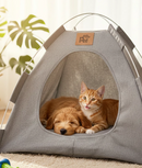 Cabana Para Cães e Gatos