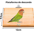 Plataforma e Escadinha Para Aves