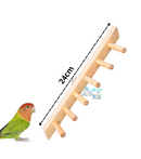 Plataforma e Escadinha Para Aves