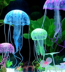 ÁGUA VIVA FLUORESCENTE P/ AQUÁRIO