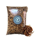 Tenébrio Desidratado (Petisco para roedores, hamster, aves e répteis)