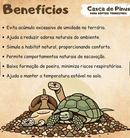 Casca de Pinus 5L Lavada Para Terrario de Répteis