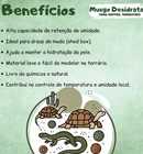 Musgo Desidratado para Terrários de Répteis Terrestres