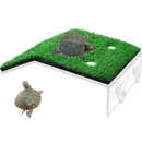 Plataforma Rampa de Grama Para Terrario De Tartatugas E Repteis
