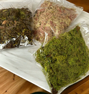 Kit com 3 Pacotes de Musgo para Artesanato - Cada Pacotinho com 20g