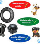 Kit Brinquedos Mordedor para Cachorros G