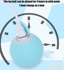 Bolinha Eletrônica Interativo  para Gato e Cachorro