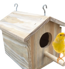 Casinha Passaros Silvestre