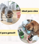 Comedouro e Bebedouro de Gatinho Elevado