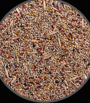 Mistura de Sementes - Pássaros da Natureza - 500g