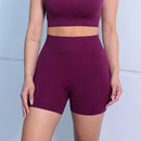 Shorts Feminino de Yoga e Academia – Cintura Alta, Modela o Quadril, Super Elástico e Respirável