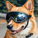 Óculos ajustáveis para cachorro – óculos de sol anti-UV para pets, proteção ocular, cor preta, amplamente utilizados, suprimentos para cães