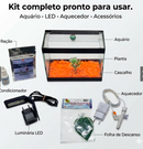 Aquário Completo para Betta com Luminária, Aquecedor, Pedras e Decoração Interna