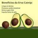KIT de 2 Abacate De Brinquedo Para Gatos Com Catnip Erva Gato Natural