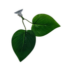 Folha de Descanso para Peixe Betta – Antiestresse