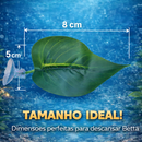 Folha de Descanso para Peixe Betta – Antiestresse